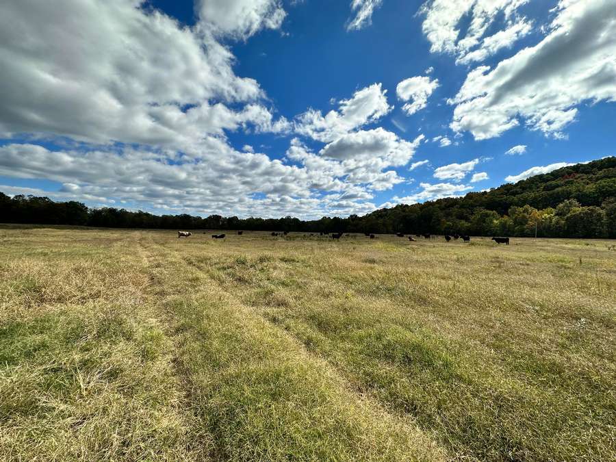 260 +/- acres Wayne County (1 +/- mile of BLACK RIVER FRONTAGE)